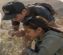 Families and students examining desert plants at an outdoor event